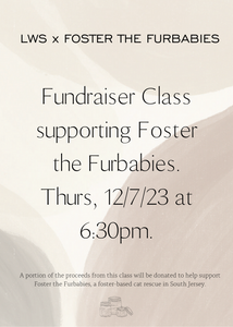 Candle Making Fundraiser Class for Foster the Furbabies
